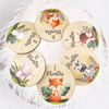 Woodland Baby Milestone Discs - Set of 6 Double-Sided or 12 Single-Sided